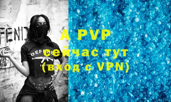 a pvp Новодвинск